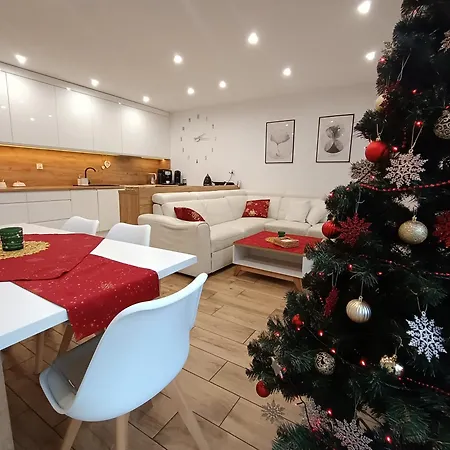 Przy Kopalni Srebra Apartment Tarnowskie Gory