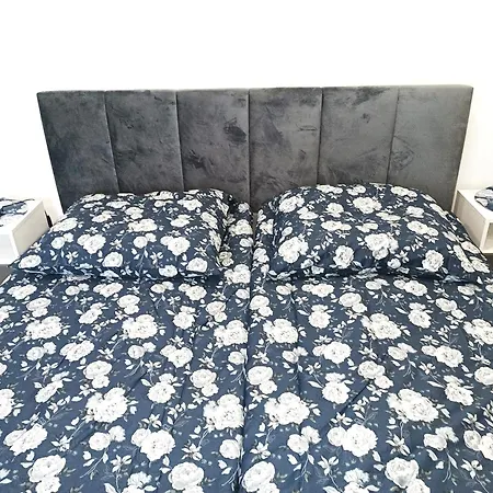 Przy Kopalni Srebra Apartment Tarnowskie Gory