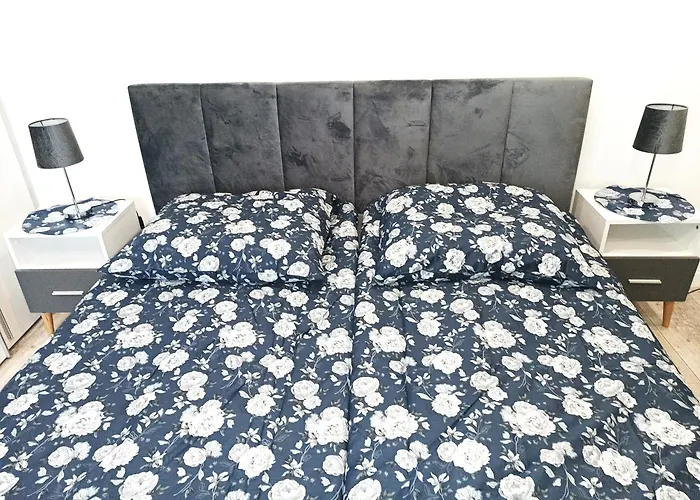 Przy Kopalni Srebra Appartement Tarnowskie Góry